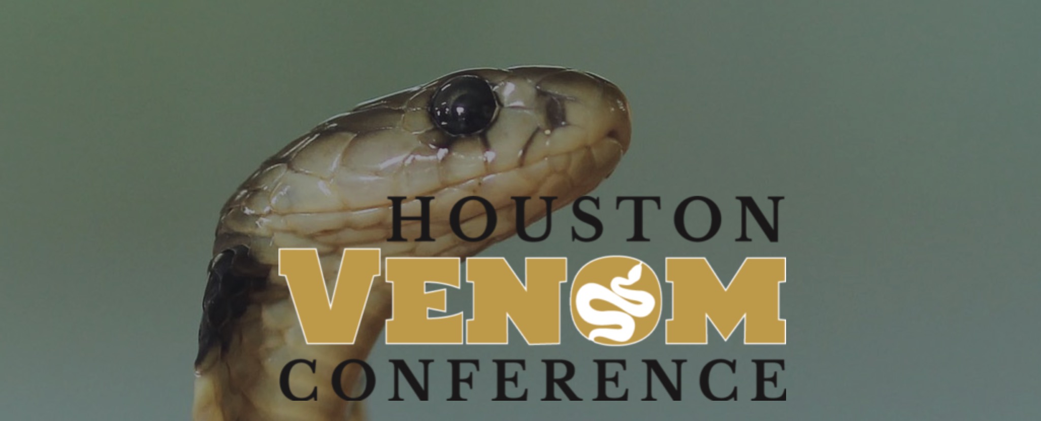 Lodging Houston Venom Conference